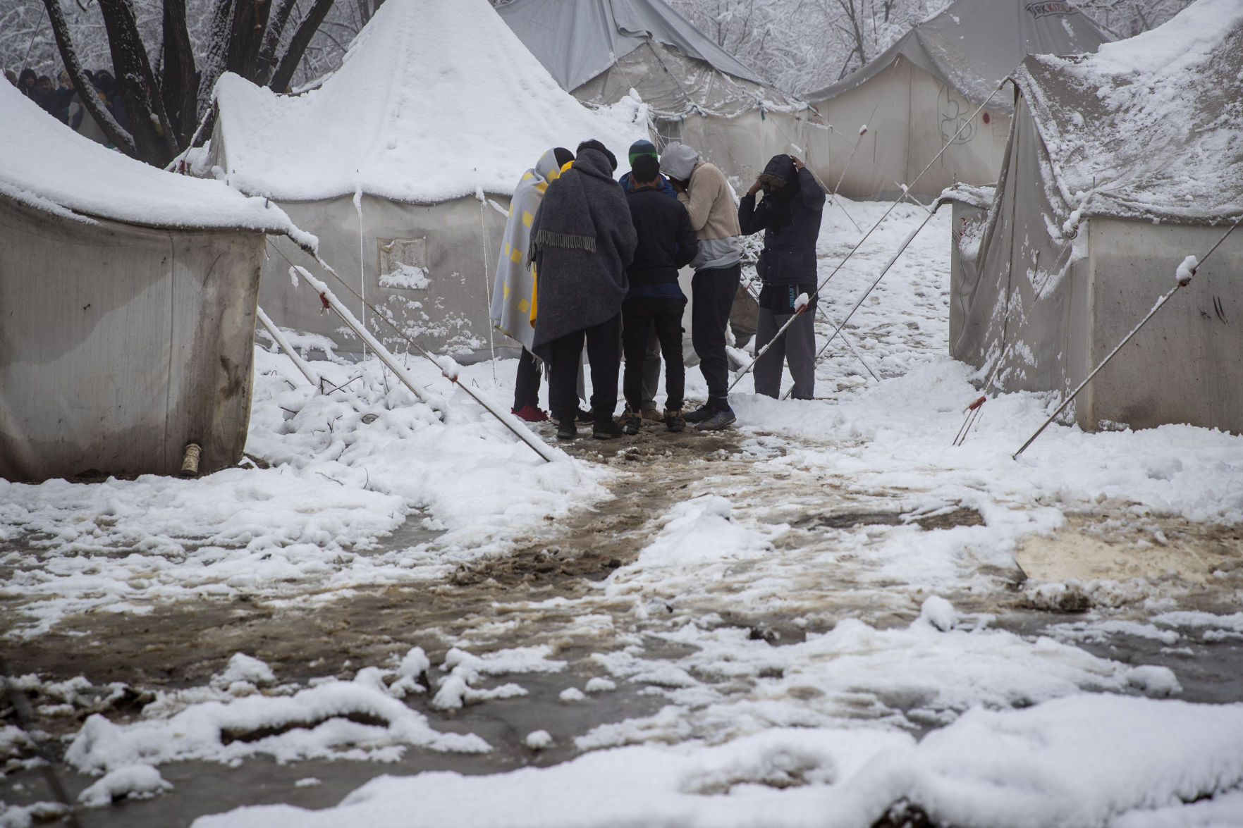 Bosnia Migrants